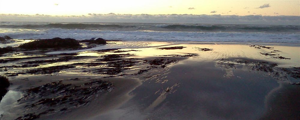 Salmonberry Inn & Beach House Lincoln City Dış mekan fotoğraf